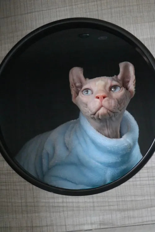 Fashionable Clothes For Cats Sphynx Cat Sweater Kitten Clothing Hound Dog Hoodie Clothes For Sphinx Cat Outfit Pet Jumpsuits - Play Paws Toys