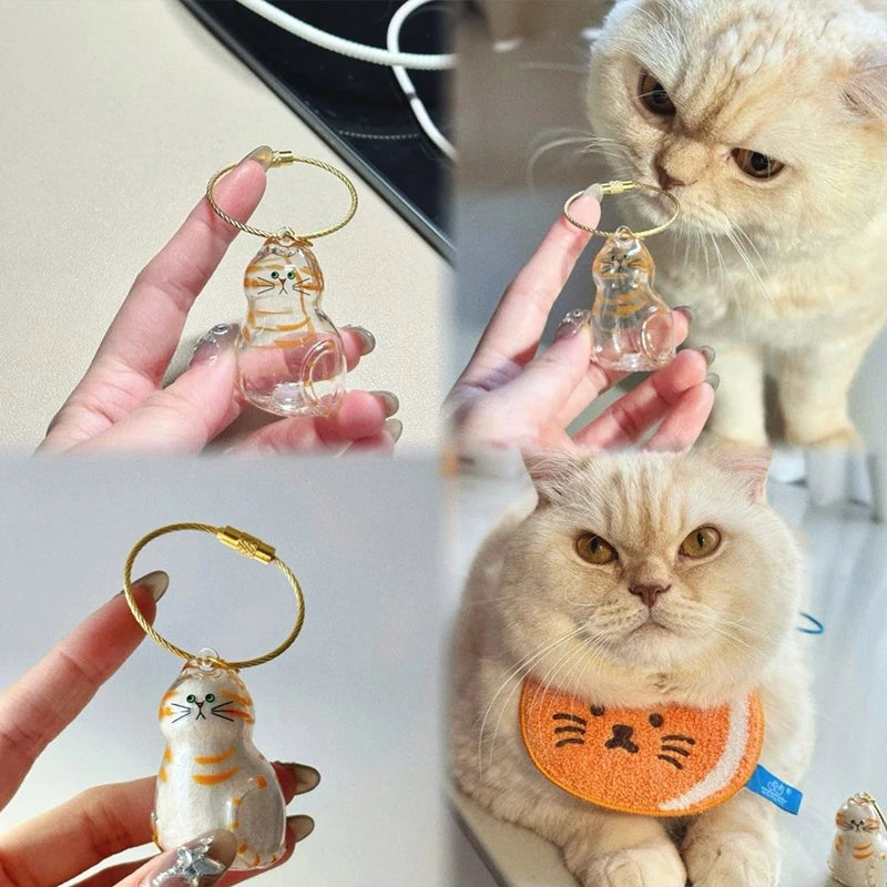 Dog Cat Hair Storage Pendant Keychain Box Couple Car Key Chains Jewelry Souvenir Pet Lover Keepsake Memorial Keychain Gift Decor