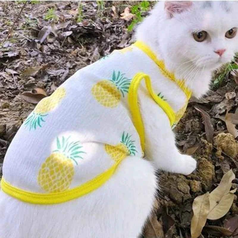 Sunscreen Clothes for Cats Summer Pet Vest Cute Print Cat Puppy Clothing Ultra-thin Breathable Kitten Pullover ropa para gatos