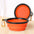 Collapsible Pet Silicone Dog Food Water Bowl Outdoor Camping Travel Portable Folding Pet Supplies Pet Bowl Dishes with Carabiner