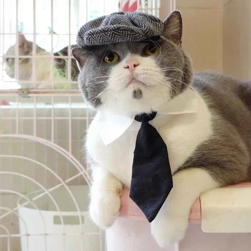 Funny Pet Cat Hat Gentleman's Hat Beret Tie Bathing Blood Gangster Handsome Cosplay Photo Prop Pet Halloween Costume