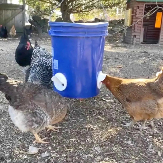 Chicken Feeder Poultry Feeding Supplies DIY Rain Proof Poultry Feeder Port Gravity Feed Kit For Buckets Barrels Bins Troughs