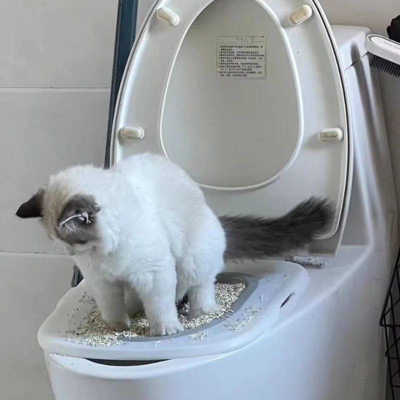 Reusable Plastic Toilet Training Kit for Cats, Toilet Trainer, Toilet for Puppy, Cat Litter Mat, Cleaning Product, Best