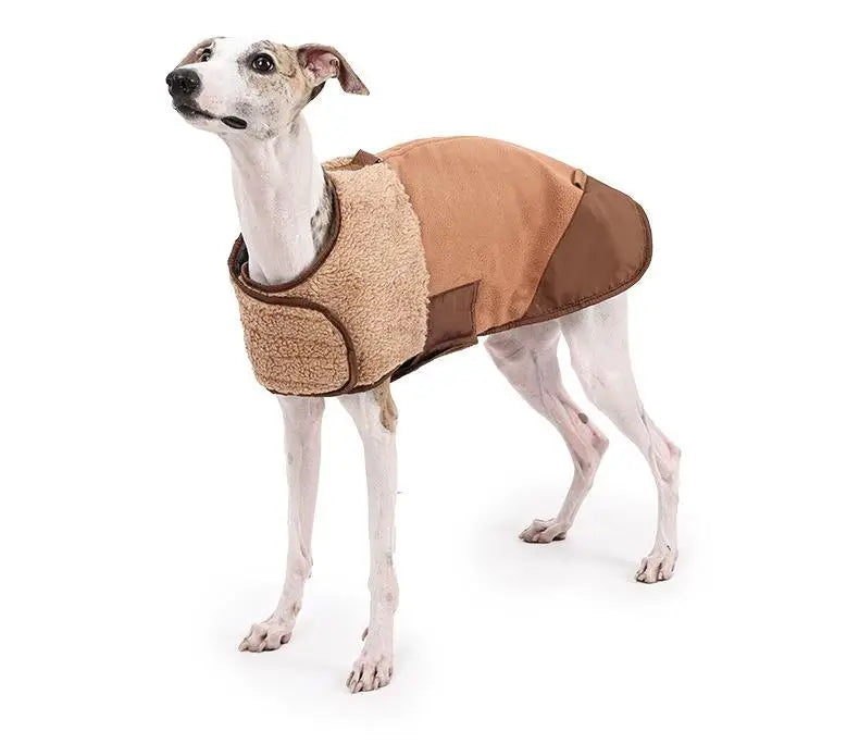 Dog Winter Warm Windproof Adjustable Lamb Fleece Jacket Thick Cotton Coat S M L XL Beige Brown Blue Army Green