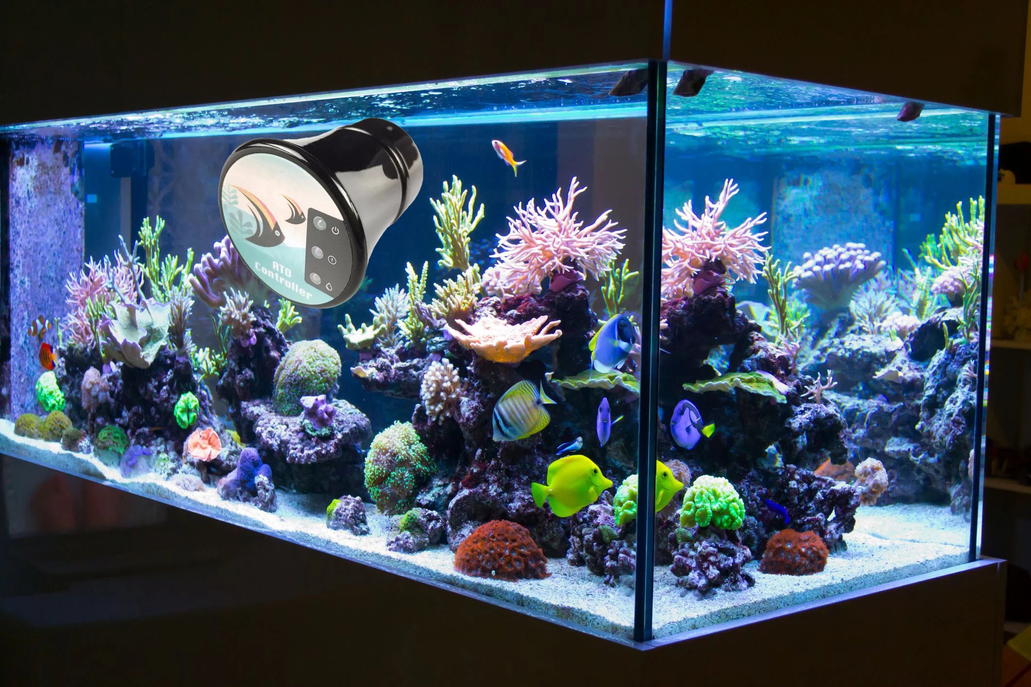 EPTTECH Transparent Container Water Aquarium Fishbowl Water Pump Controller Auto Top Off System Reef Tank Pet Replenisher