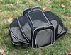 Pet Carrier Bag Foldable Small Dog Charter Carrying Cat Out Bag Expansion Pet Bag Mesh Breathable Expansion Foldable Handheld C