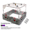 【Lego】Expandable Modular Formicarium Ant Farm Nest for Ant Keeper Starter New Queen Large Anthill Keeping Kit Test Tube
