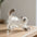 Dog Hair Storage Cute Pendant Keychain Bag Pendant Couple Car Key Chains Jewelry Souvenir Collection Gift Decoration Accessories