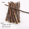 Natural Apple Branch Chew Sticks for Small Pets (5-40pc)