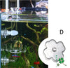 Aquarium Feeding Tray Clear Fish Shrimp Food Feeder Tube Dish Shrimp Bowl Feeding Ring Fish Tank Decoration Accessories