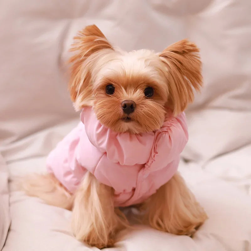 Luxury Winter Dog Coat Vest Warm Cotton Pet Jacket Coat Thickened Designer Dog Clothes with D-ring  Ropa Para Perro
