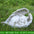 Pet Tombstone Dog Cat Tombstone Memorial Stone Personalized Memorial Stone Resin Statue Creative Angel Dog Cat Ornament