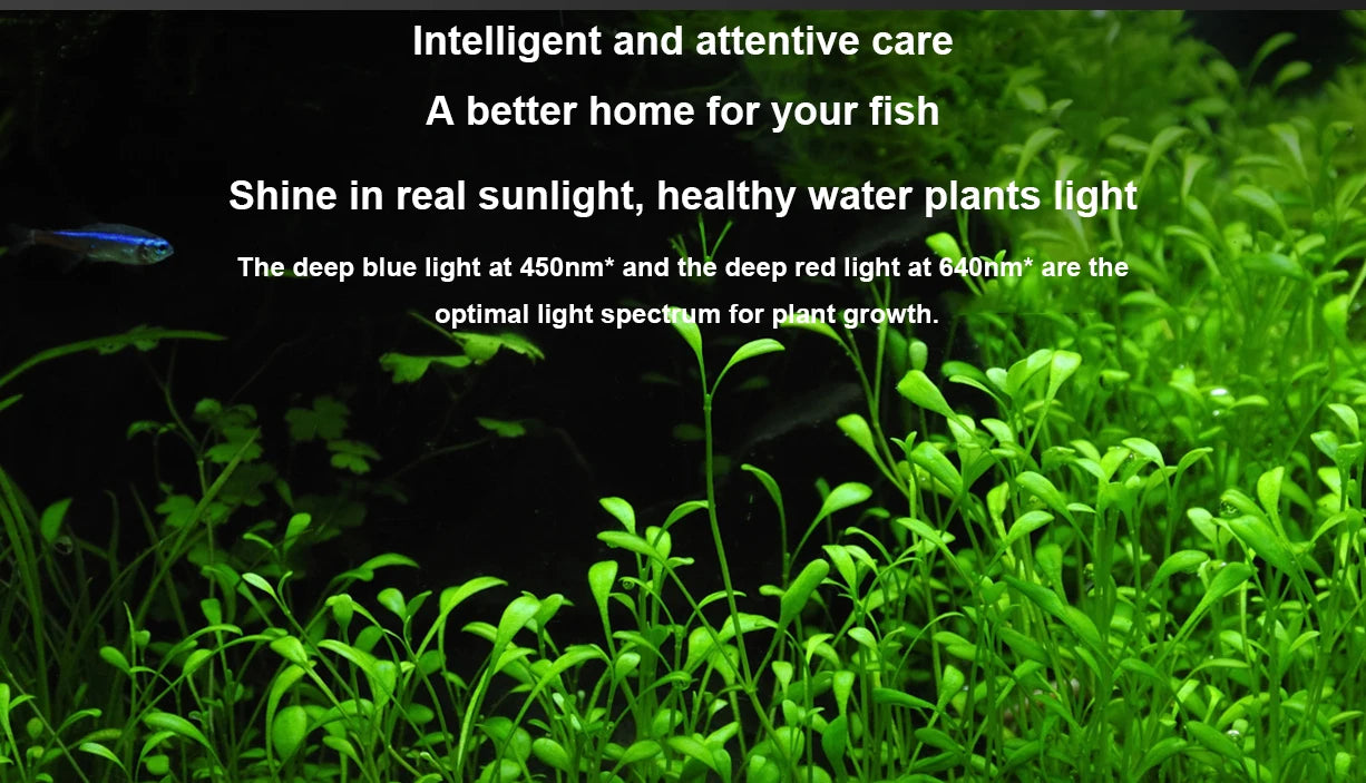 NEW MIJIA Smart Fish Tank MYG100 Work With Mijia APP Mobile Controlled Remote Feeding Smart Lighting System Light Aquarium CN