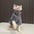 Fashionable Clothes For Cats Sphynx Cat Sweater Kitten Clothing Hound Dog Hoodie Clothes For Sphinx Cat Outfit Pet Jumpsuits - Play Paws Toys