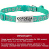 Custom Reflective Cat Collar - Personalized Name Tag & Bell Breakaway Adjustable Anti-Lost Design with Paw Print Collar for Cats