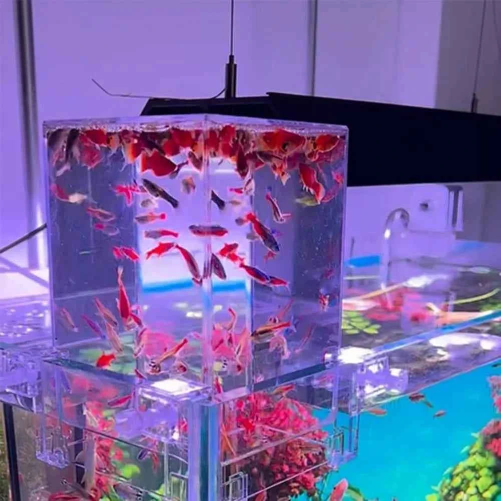 Aquariums Negative Pressure Fish Tank Clear Aerial Aquarium Extender Ecological Landscaping Decoration Fish Tank Bowl Isolation