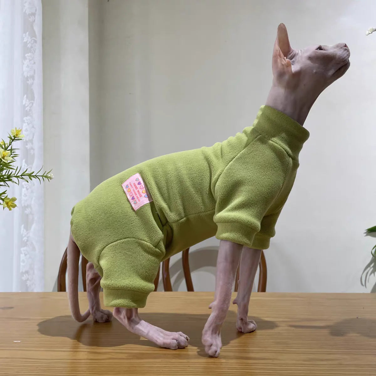 Fleece Coat for Sphynx Cat Warm Sweatshirt 4-legged Jumpsuit for Kittens Dogs soft Loungewear for Male Cat Devon Rex Sweater - Play Paws Toys