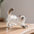 Dog Cat Hair Storage Pendant Keychain Box Couple Car Key Chains Jewelry Souvenir Pet Lover Keepsake Memorial Keychain Gift Decor