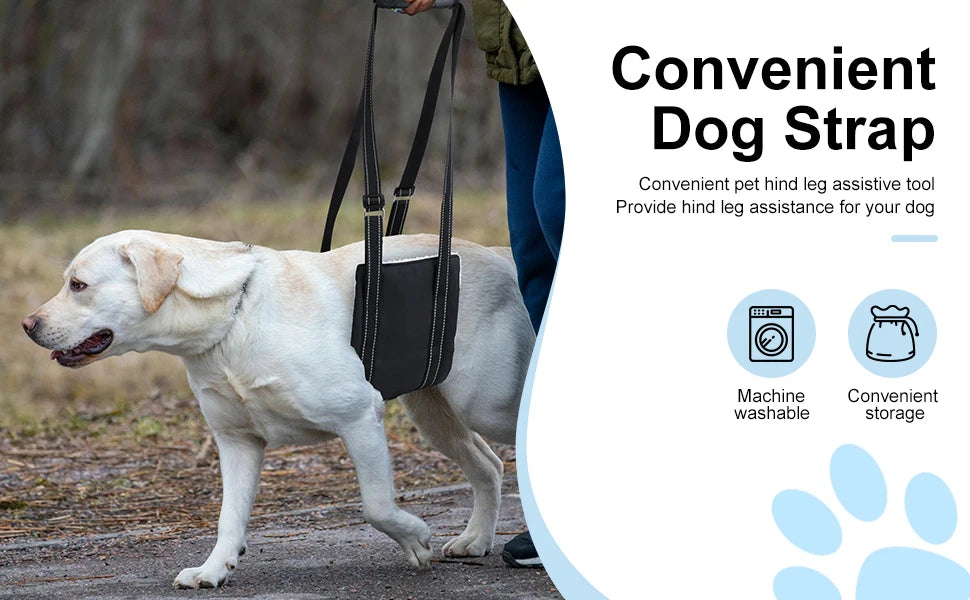 Dog Lift Harness Adjustable Dog Sling for Back Legs Support Rehab Harness for Weak Rear Legs Pet Aid Assist Tool For Elderly Dog