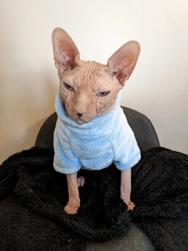 Fashionable Clothes For Cats Sphynx Cat Sweater Kitten Clothing Hound Dog Hoodie Clothes For Sphinx Cat Outfit Pet Jumpsuits - Play Paws Toys