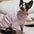 Soft Cotton Long Sleeves Shirt for Sphinx Cat Spring Autumn Cute Sweet Pink Green Coat for Cats Winter Sweatshirt for Devon Rex - Play Paws Toys