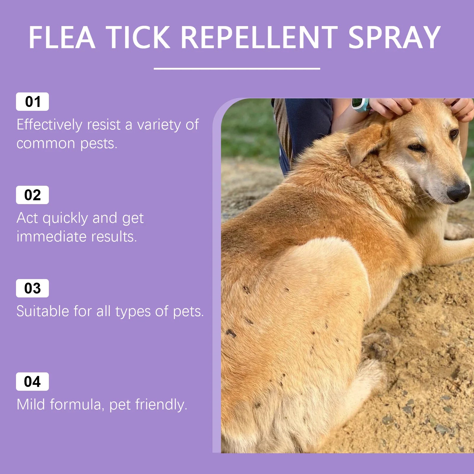 Pet Flea Repellent Spray Effectively Removing Fleas Ticks Relieve Skin Itching Natural Ingredients Non Irritating Pet Pest Spray