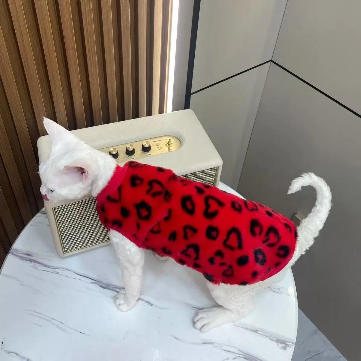 Derby cat hairless cat winter warmth plush fur two-legged suit suitable for small to medium-sized cat base layers machine washab - Play Paws Toys