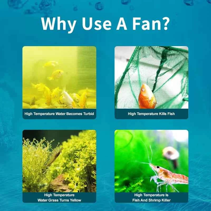 Jebao Jecod ACF Series Aquarium Cooling Fan 12V 3W/4W, Quiet Variable Speed Fan for Fish Tank, Water Cooling Fan, Hydroponics Co