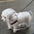 Transparent Waterproof Dog Raincoat, Raincoat for Small and Medium-Sized Dogs, Teddy and Bichon Frise Dog for Rainy Days Walking