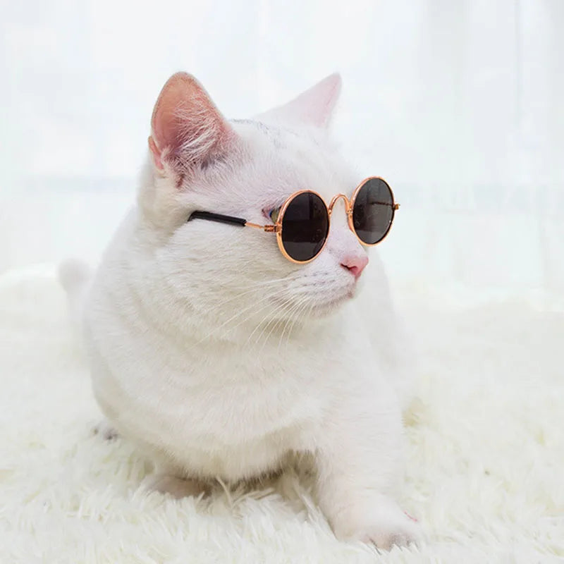 Puppy Dog Sunglasses Anti-skid Round Metal Cat Classic Retro Sunglasses Hippie Cute and Funny Pet Glasses Cosplay Party Costume