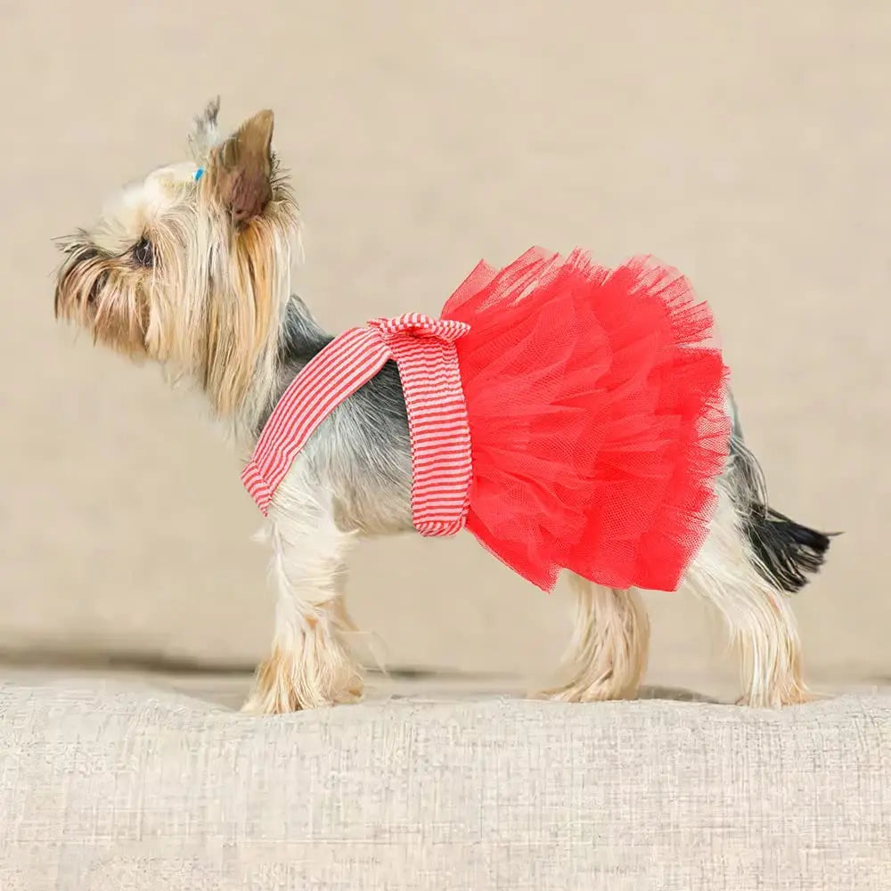 Dog Dress, Fashion Puppy Tutu Princess Dresses for Small Dogs Girl, Sweet Skirt with Dog Bowknot Clips, Spring Dog Cat Clothes