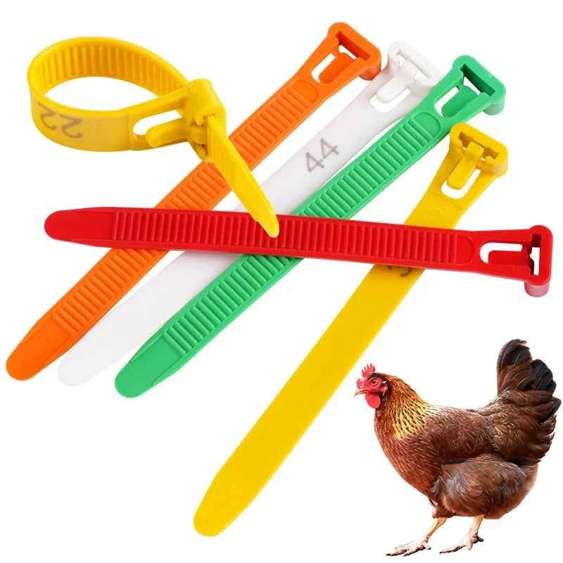 50/100Pcs Chicken Foot Ring Adjustable Cable Tie farm Animals Poultry Breeding Label Turkey Mark Foot Ring Identity Recognition