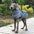 Warm Turtleneck Dog Clothes Winter Thick Reflective Snowsuit Coat Pet Jacket for Large Breed Whippet Greyhound Parka Clothing
