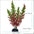 Artificial Aquarium Decor Plants Plastic Aquatic Plants Underwater Plants Aquarium Accessories Decoration Piante Acquario