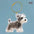 Clear Pet Hair Memorial Keepsake Capsule Dog Fur Container DIY Pendant Keychain Decor Animal Lovers Home Display Gift Idea