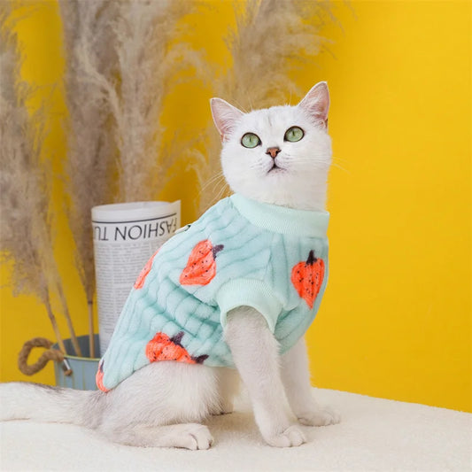 Korean Style Sphynx Cat Sweater with Buckle Winter Warm Pet Clothes for Cats Gotas Garfield Persian Pullovers mascotas Clothing - Play Paws Toys