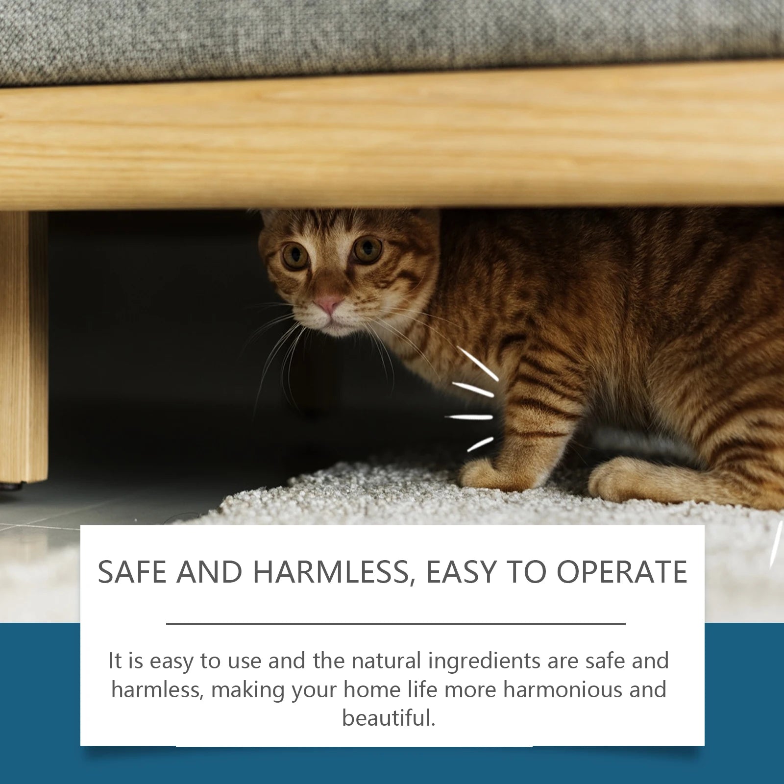 Indoor Cat Repellent Spray Anti-Scratching Anti-Chewing Behavior Corrector Pet Repelling Cats Deterrents Spray Pet Product 100ml