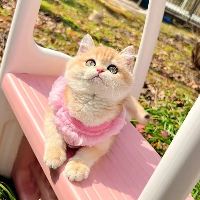 Newborn Cat Kitten Velvet Clothing Winter Warm Little Pet Sweater for Small Animals Bunny Pullovers Clothes Teacup Poodle XXXS - Play Paws Toys