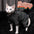 Hairless cat clothes tricolor four-legged clothes Sphinx warm high stretch home four-legged clothes pet clothing