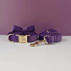Velvet Collar Free Engrave Dog Collar Leash For Medium Big Pet Necklace Dog Accessories Dog Collars