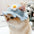 Cat Hat Elastic Cute Knitted Hat Warm Funny Head Cover Party Photo Shoot Props Kitten Cosplay Costume Cat Accessories - Play Paws Toys