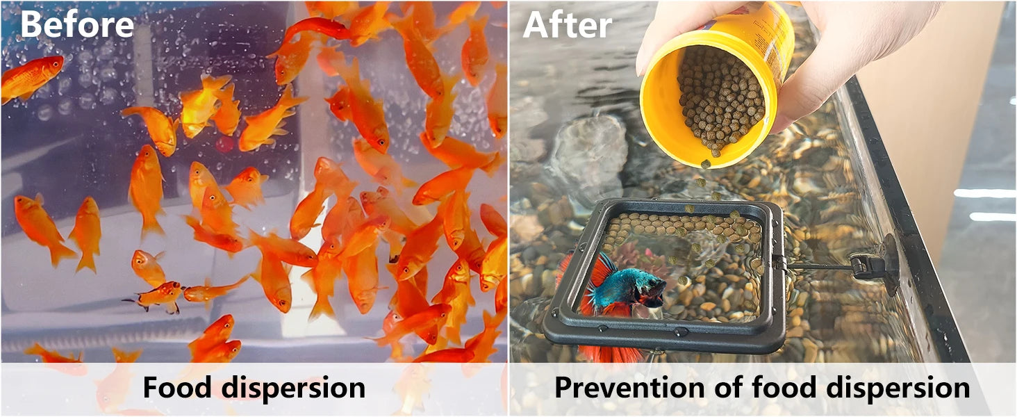 Aquarium Feeding Ring Fish Tank Station Floating Food Tray Feeder Square Circle Accessory Fish Foods Feeder Suction Cup Black