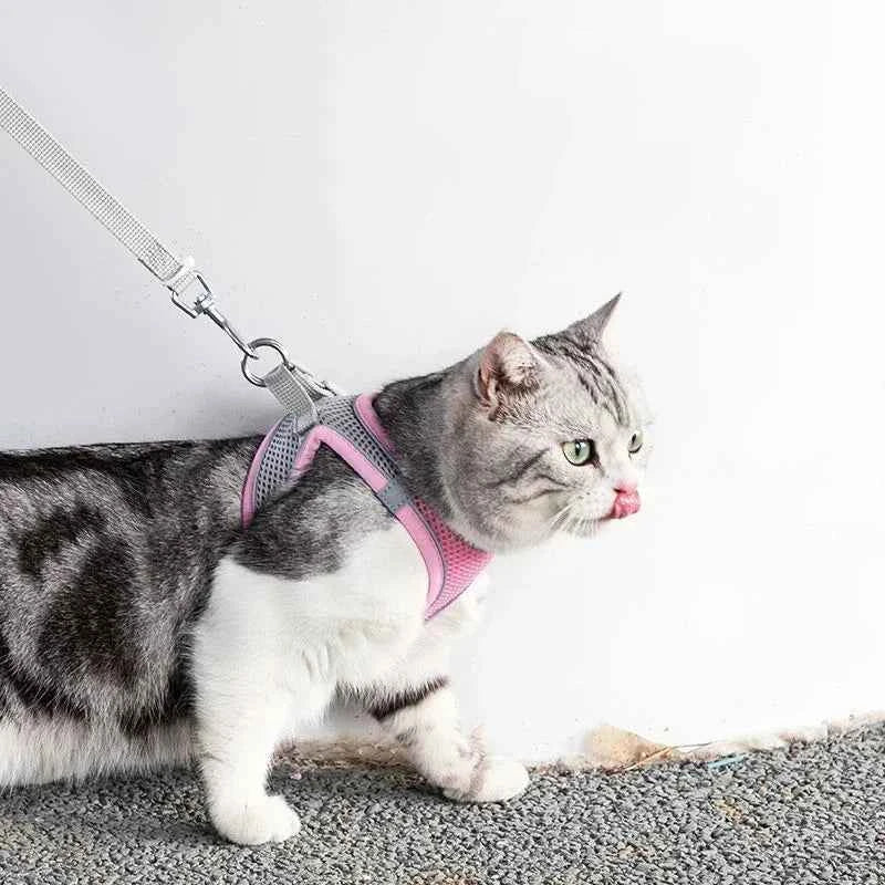 Cat Harness Adjustable Pet Harnesses Reflective Leashes Set Pet Harness for Cats Small Dogs Pug Chihuahua Cat Accessories