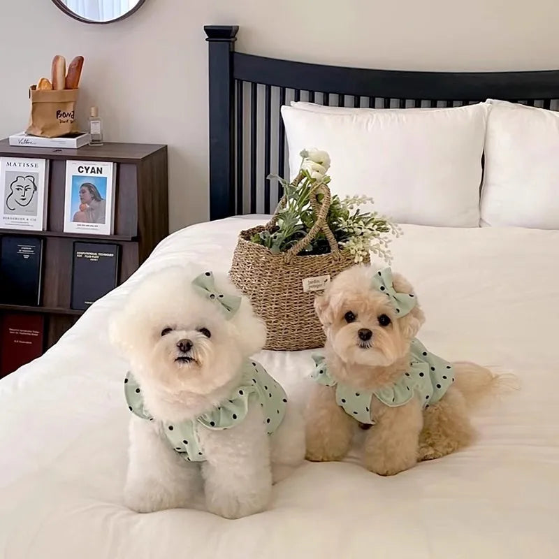 Luxury Pet Suspenders Dog Summer Dress Dot Puppy Skirt Chihuahua Bichon Dog Apparel Cat Clothing Small Dog Vest Girl Dog Clothes