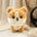 Birthday Gift Cute Puppy Doll Plush Toy Husky Doll Corgi Doll Simulation Animal Plush Doll Children Toy Gift