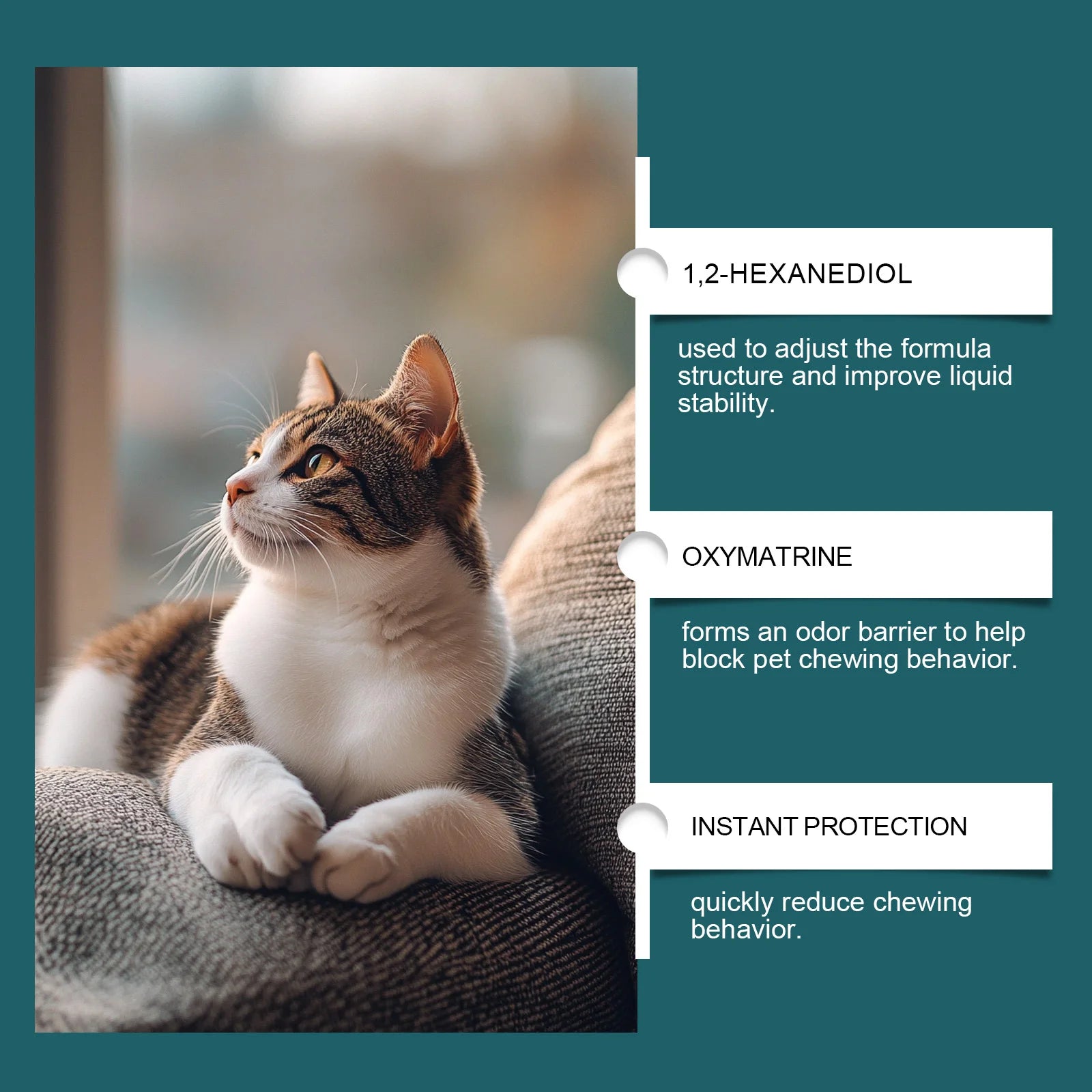 100ml Pet Deterrent Spray for Cats and Dogs Bitter Training Aid to Discourage Chewing and Scratching Safe Indoor Use on Furnitur