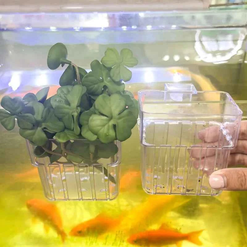 Aquarium Plant Basket Clear Plastic Aquatic Cup Wall Mounted Fish Tank Planters Water Grass Holder Aquascape Hang Decoration Pot