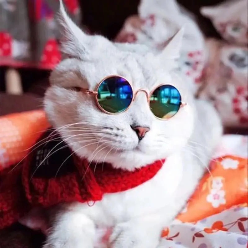 Puppy Dog Sunglasses Anti-skid Round Metal Cat Classic Retro Sunglasses Hippie Cute and Funny Pet Glasses Cosplay Party Costume