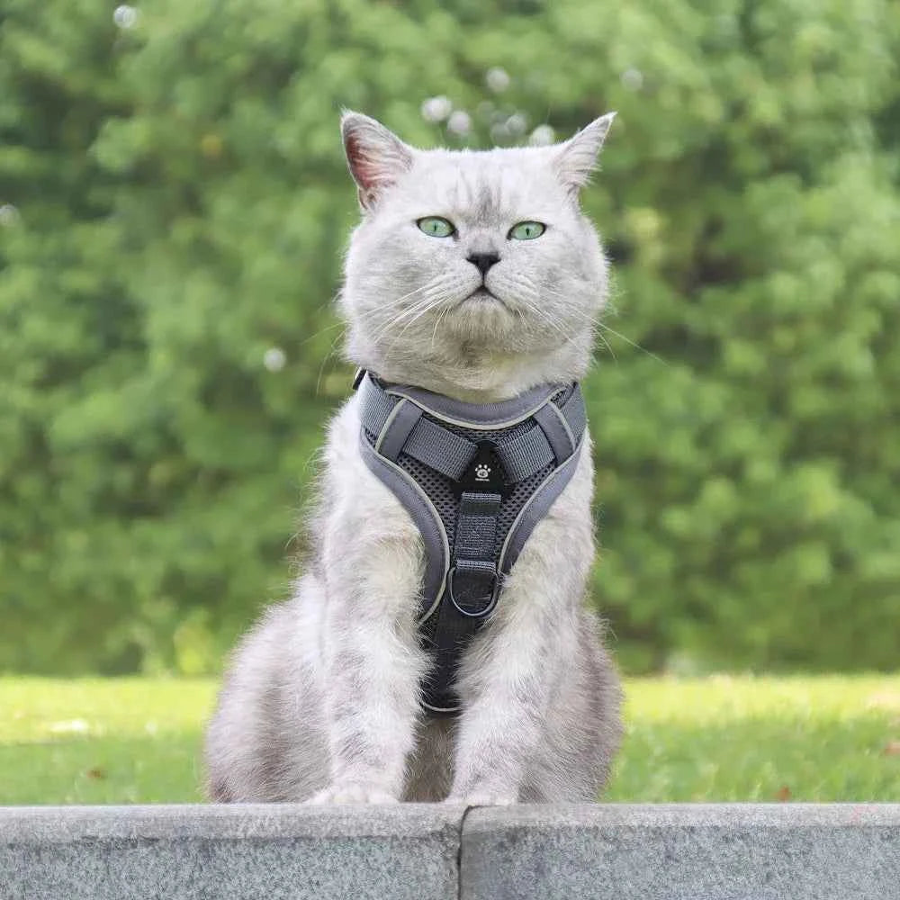Cats Harness Leash For Small Dogs Cat Outdoor Reflective Adjustable Puppy Kitten Traction Device Tactical Training Pet Supplies