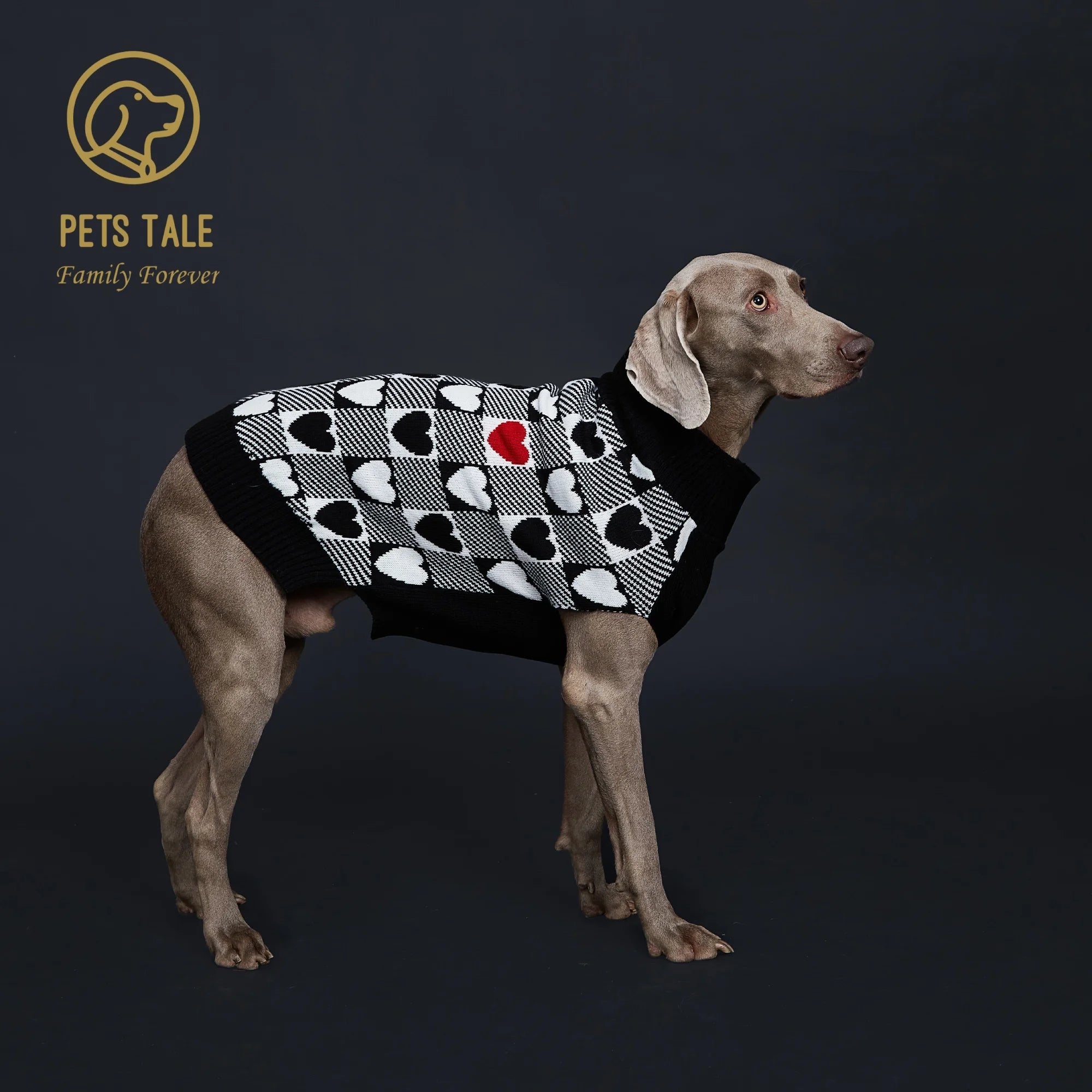 Buffalo Check Love-Heart Intarsia D-Ring Hole Dog Sweater